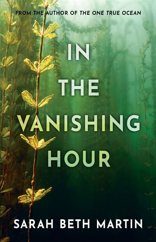 In the Vanishing Hour (Paperback)