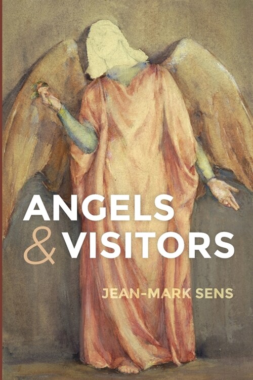 Angels and Visitors (Paperback)