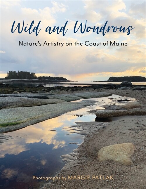 Wild and Wondrous: Natures Artistry on the Coast of Maine (Hardcover)
