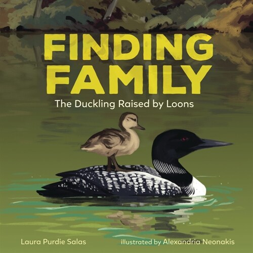 Finding Family: The Duckling Raised by Loons (Hardcover)