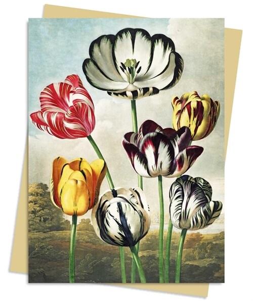 Temple of Flora: Tulips Greeting Card Pack : Pack of 6 (Cards, Pack of 6)