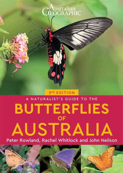 A Naturalists Guide to the Butterflies of Australia (2nd) (Paperback, 2 ed)