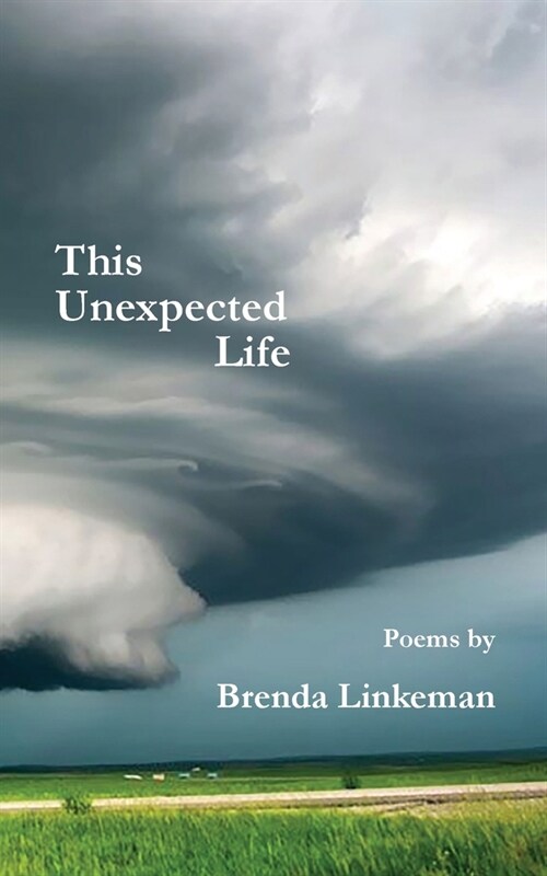 This Unexpected Life (Paperback)