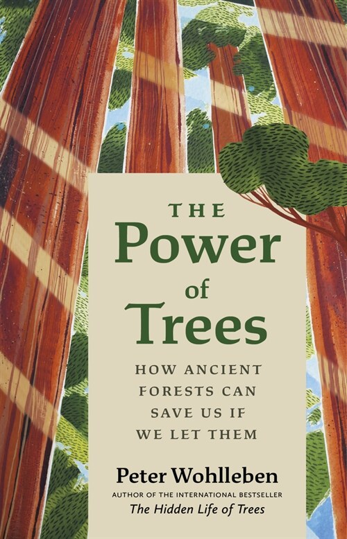 The Power of Trees: How Ancient Forests Can Save Us If We Let Them (Hardcover)