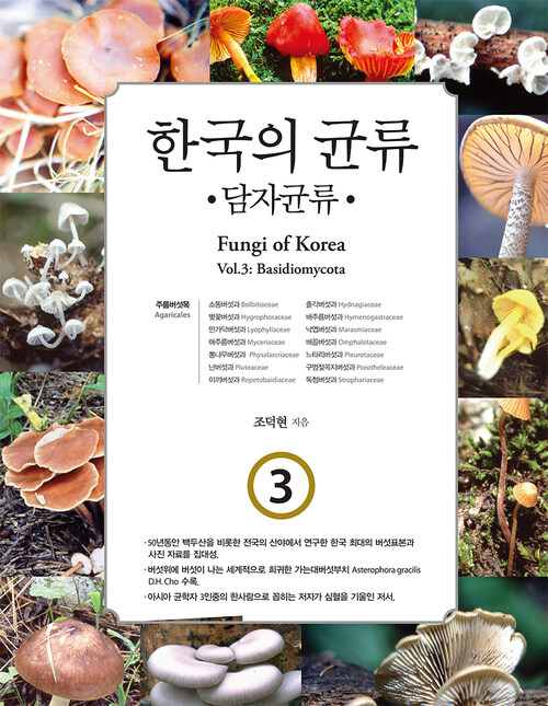 한국의 균류 3 : 담자균류