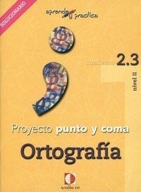Aprende y practica, punto y coma, ortografia, 2.3. Libro profesor (Paperback)