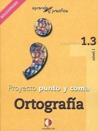 Aprende y practica, punto y coma, ortografia, 1.3. Libro profesor (Paperback)