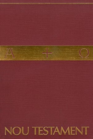 Nou Testament (Biblia Catalana Interconfessional) (Paperback)