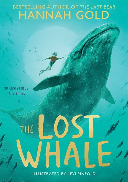 The Lost Whale (Paperback)