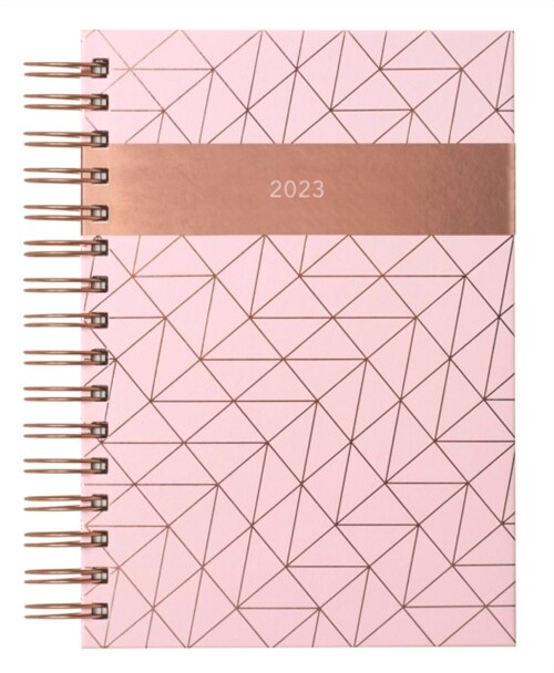 Matilda Myres Pink Page-a-Day A5 Diary 2023 (Diary)