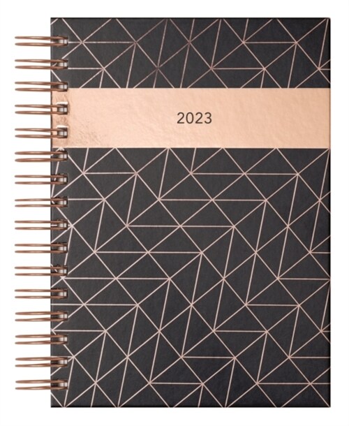 Matilda Myres Grey Page-a-Day A5 Diary 2023 (Diary)