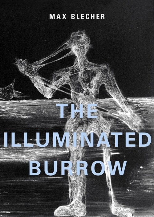 The Illuminated Burrow: A Sanatorium Journal (Hardcover)