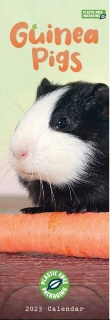 Guinea Pigs Slim Calendar 2023 (Calendar)