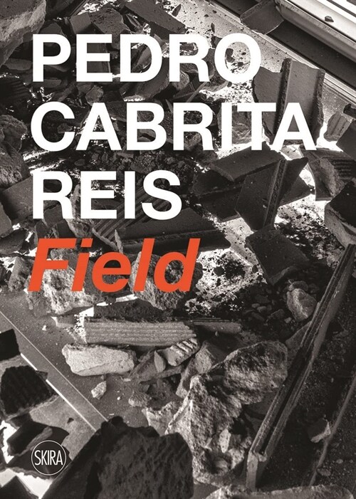 PEDRO CABRITA REIS (Paperback)