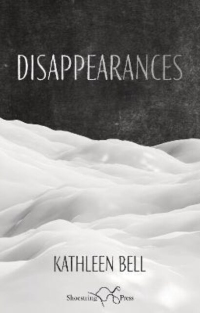 Disappearances (Paperback)