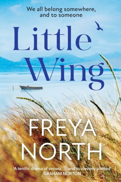 Little Wing : A beautifully written, emotional and heartwarming story (Paperback)