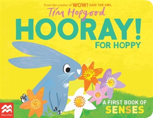 Hooray for Hoppy : A First Book of Senses (Board Book)