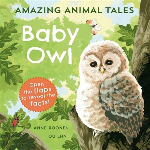 Amazing Animal Tales: Baby Owl (Paperback, 1)