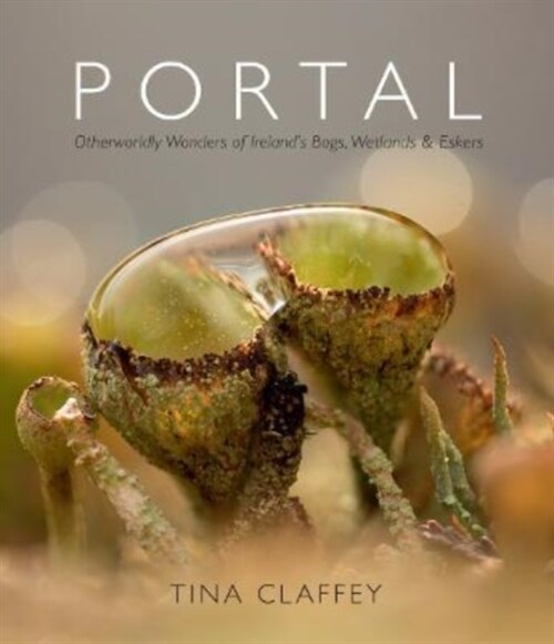 Portal: Otherworldly Wonders of Irelands Bogs, Wetlands & Eskers (Hardcover)