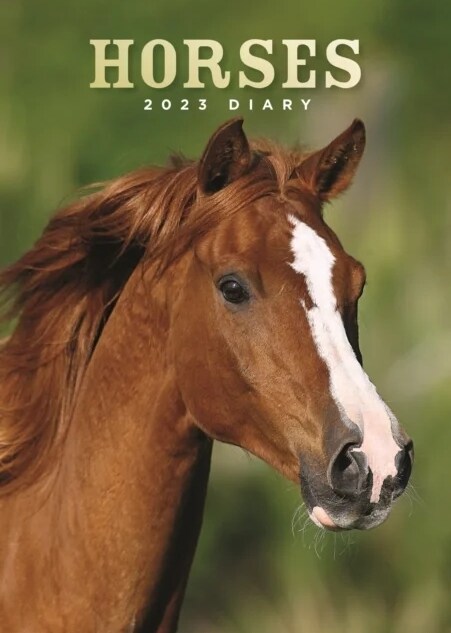 Horses A5 Diary 2023 (Diary)