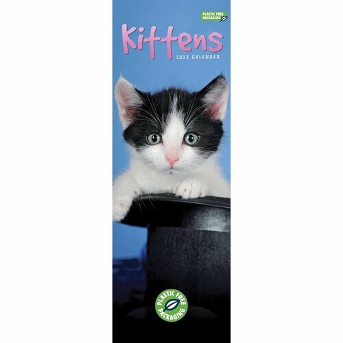 Kittens Slim Calendar 2023 (Calendar)