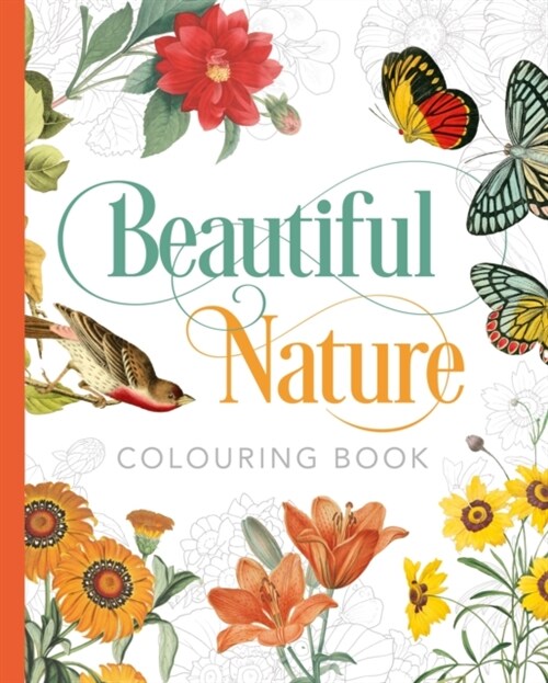 Beautiful Nature Colouring Book (Paperback)