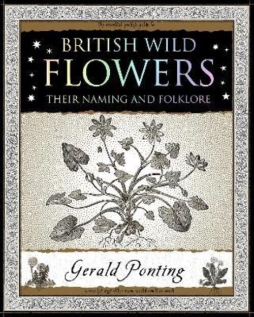 British Wild Flowers : Their Naming and Folklore (Paperback)