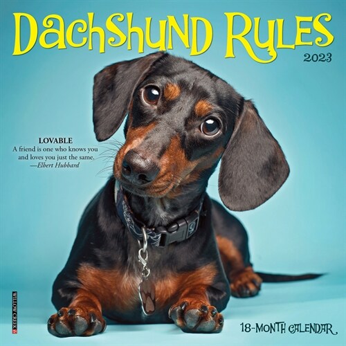 Dachshund Rules 2023 Mini Wall Calendar (Calendar)