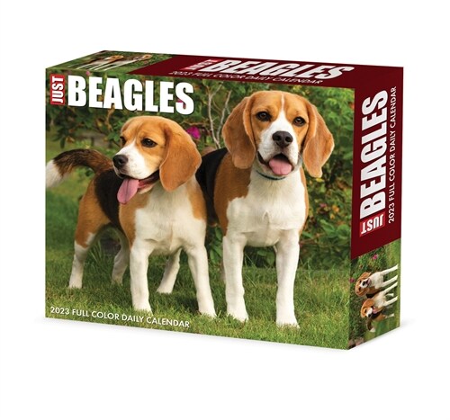 Beagles 2023 Box Calendar (Calendar)