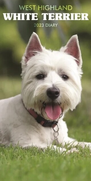West Highland White Terriers Slim Diary 2023 (Diary)