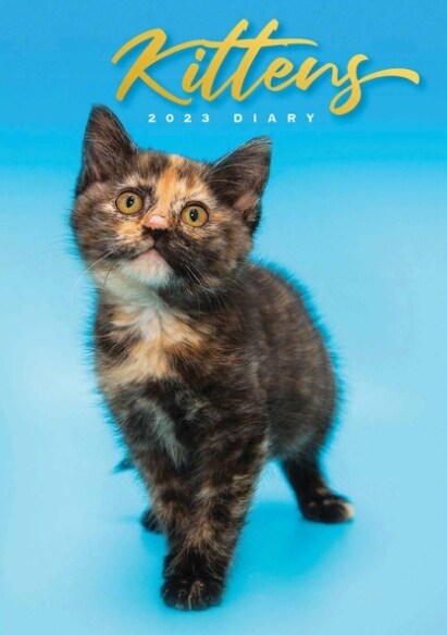 Kittens A5 Diary 2023 (Diary)