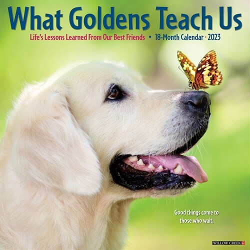 What Goldens Teach Us 2023 Wall Calendar (Calendar)