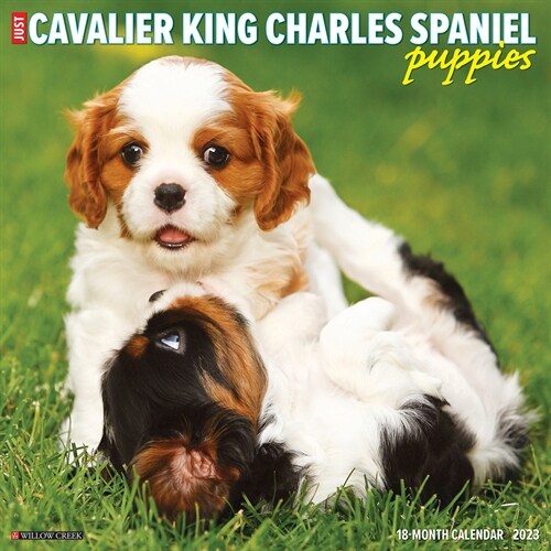 Just Cavalier King Charles Spaniel Puppies 2023 Wall Calendar (Calendar)