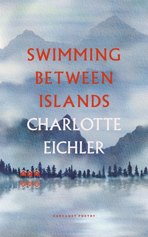 Swimming Between Islands (Paperback)