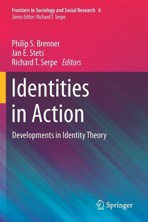 Identities in Action: Developments in Identity Theory (Paperback)