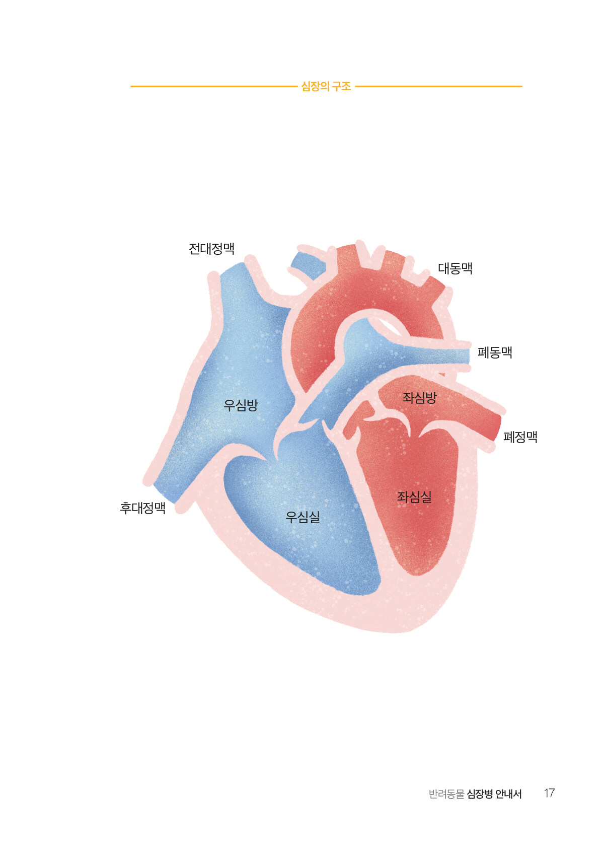 알라딘 미리보기 반려동물 심장병 안내서