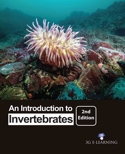 An Introduction to Invertebrates (2nd Edition) (Paperback)