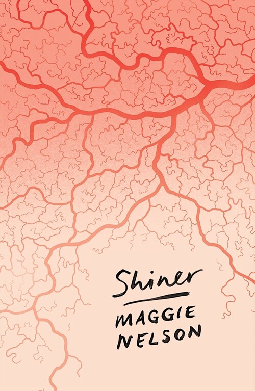 Shiner (Paperback)