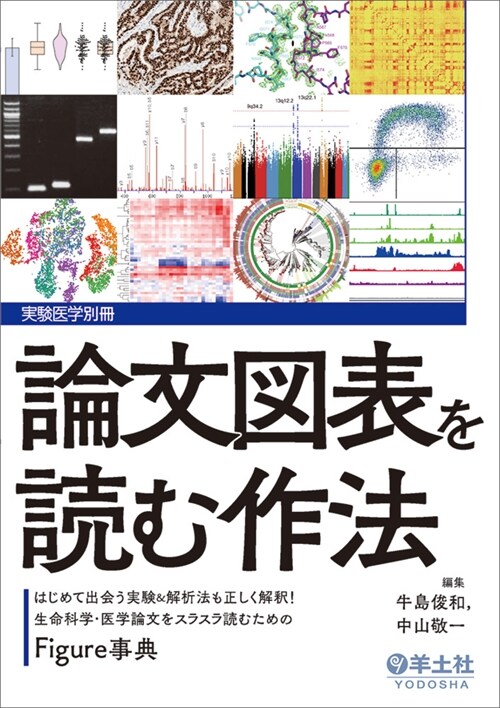 論文圖表を讀む作法