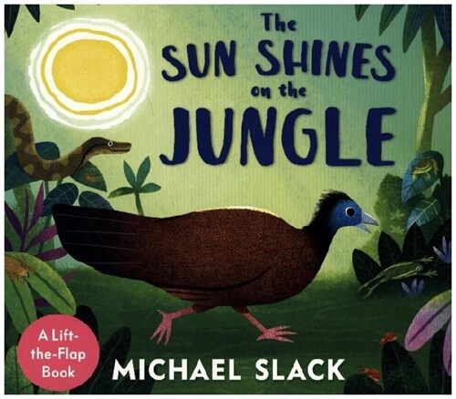 The Sun Shines on the Jungle (Board Book)