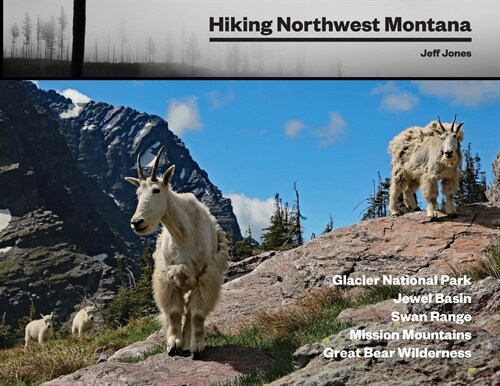 Hiking Northwest Montana (Paperback)