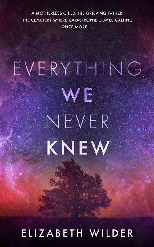 Everything We Never Knew (Paperback)