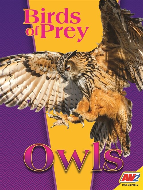 Owls (Library Binding)