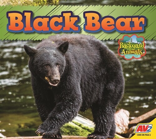 Black Bear (Paperback)