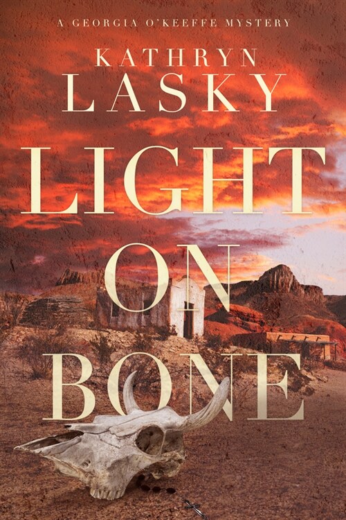 Light on Bone (Paperback)