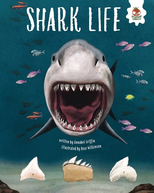 Shark Life (Library Binding)