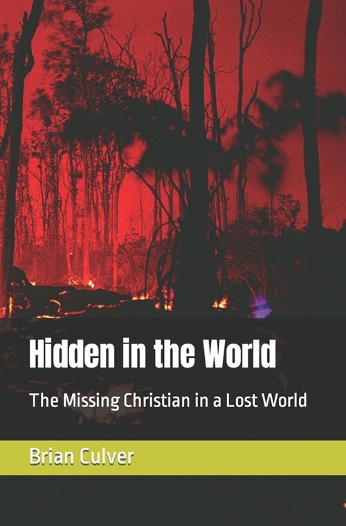 Hidden in the World: The Missing Christian in a Lost World (Paperback)