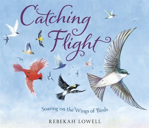 Catching Flight: Soaring on the Wings of Birds (Hardcover)