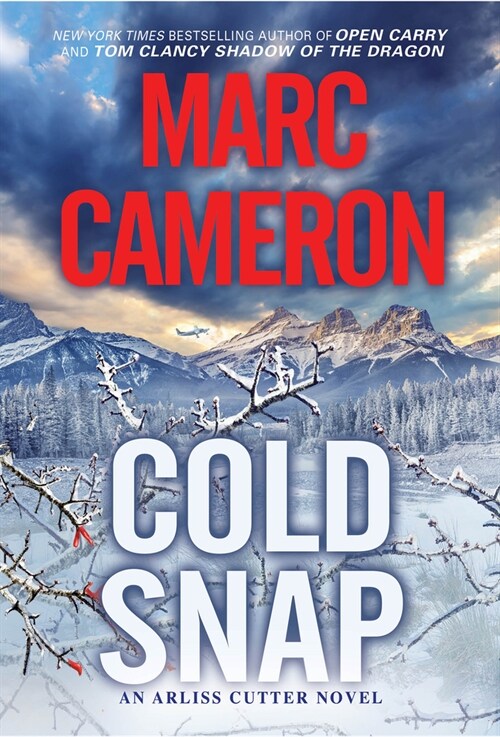 Cold Snap: An Action Packed Novel of Suspense (Mass Market Paperback)