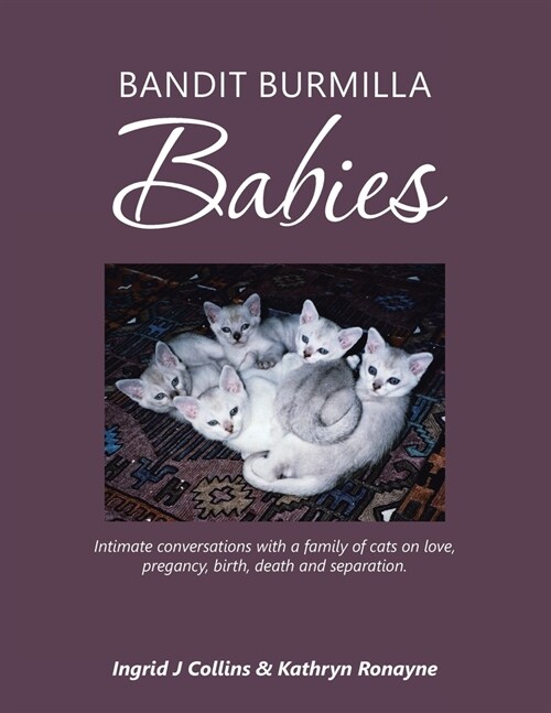 Bandit Burmilla Babies: Intimate Conversations with a Family of Cats on Love, Pregancy, Birth, Death and Separation. (Paperback)